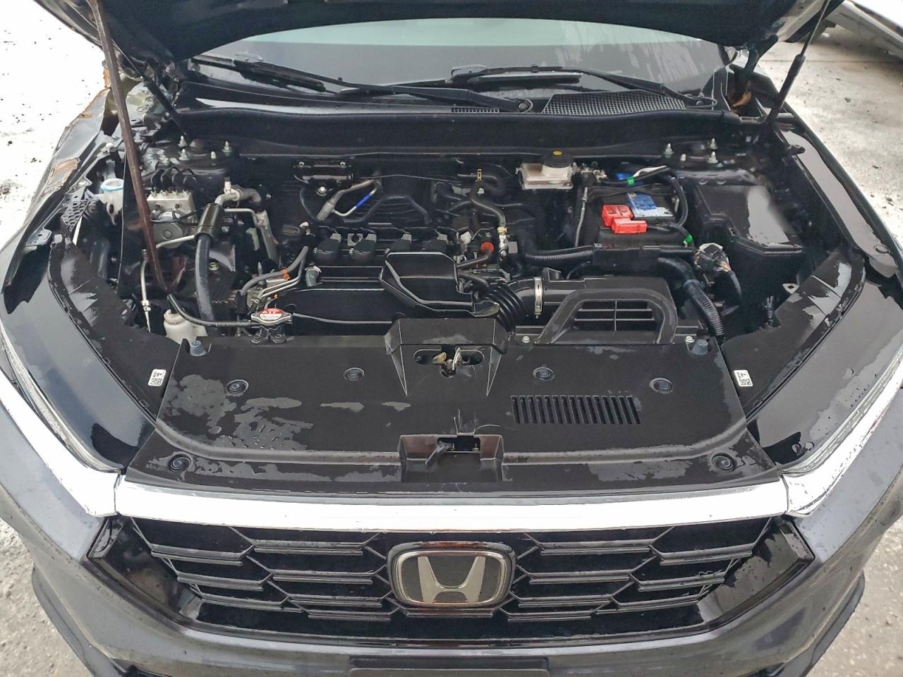 2024 HONDA CR-V EX photo 12
