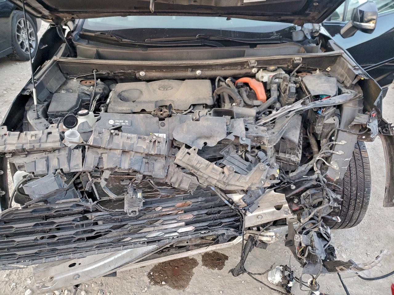2019 TOYOTA RAV4 XLE photo 12