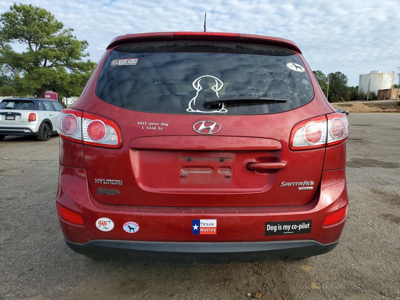 2010 HYUNDAI SANTA FE SE photo 6