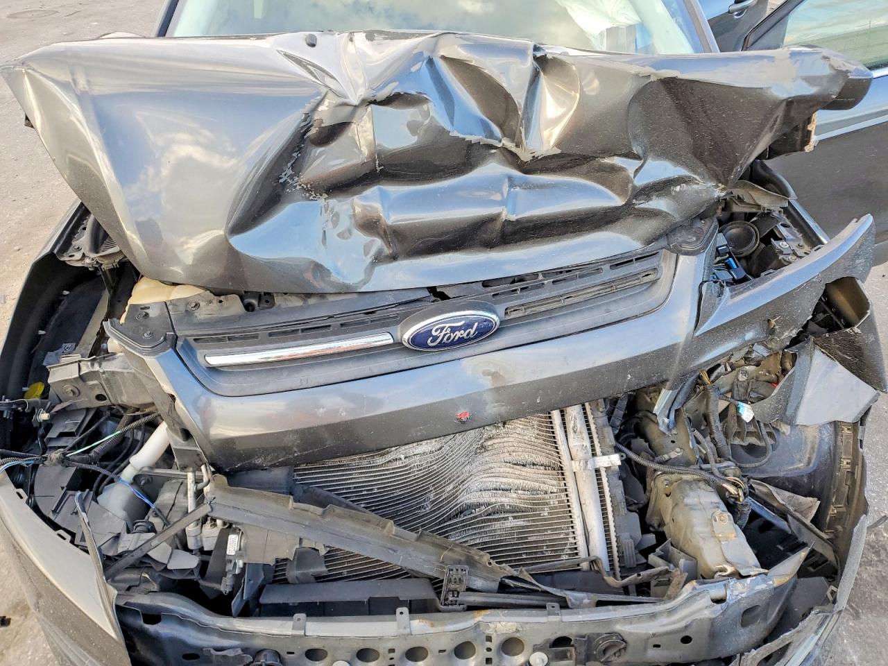 2016 FORD ESCAPE SE photo 12