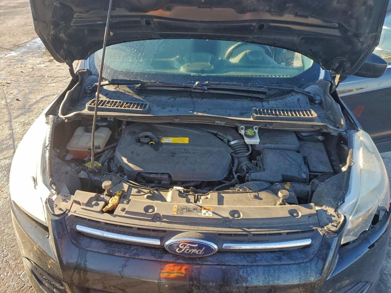 2015 FORD ESCAPE SE photo 12