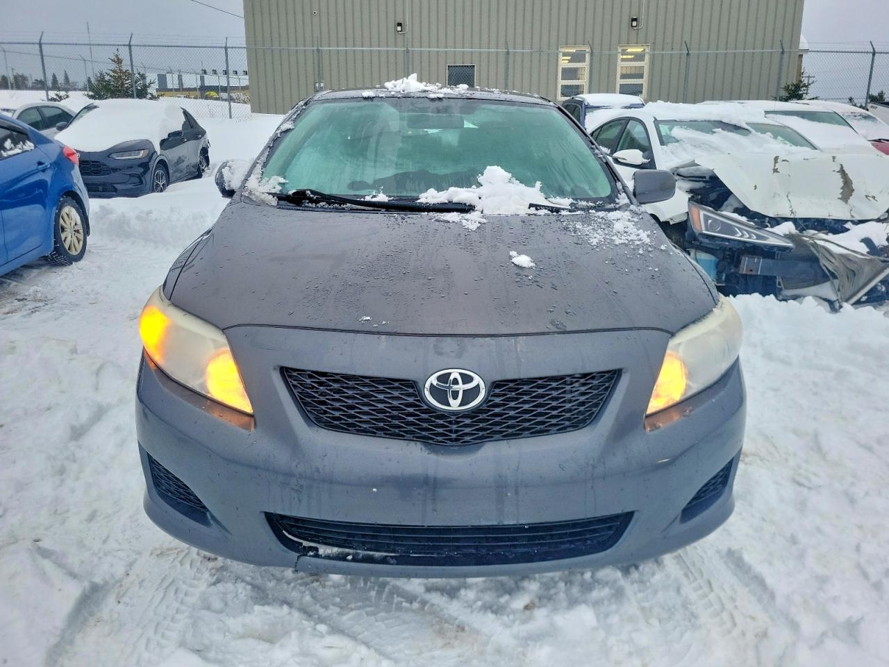 2010 TOYOTA COROLLA BASE photo 5