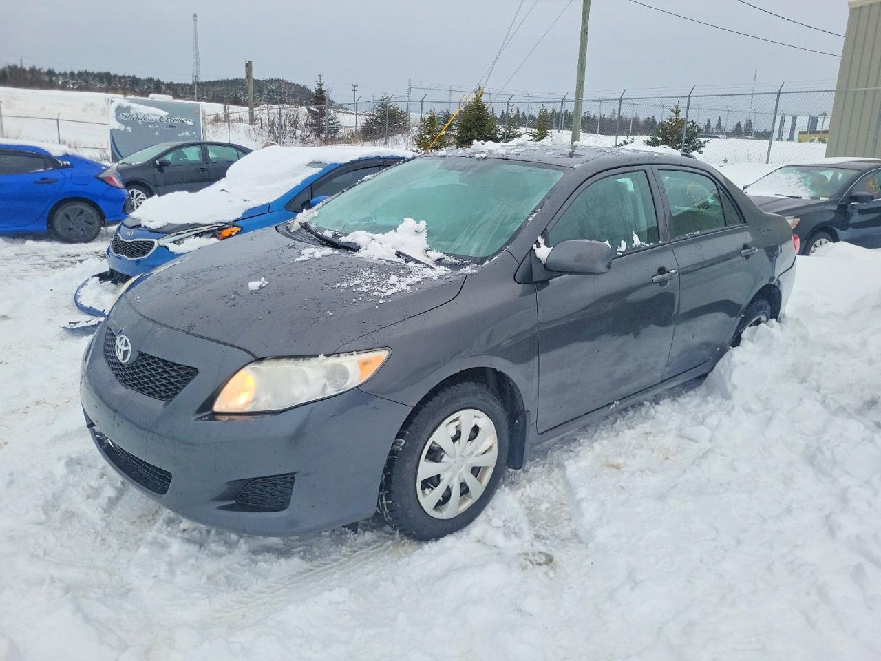 2010 TOYOTA COROLLA
