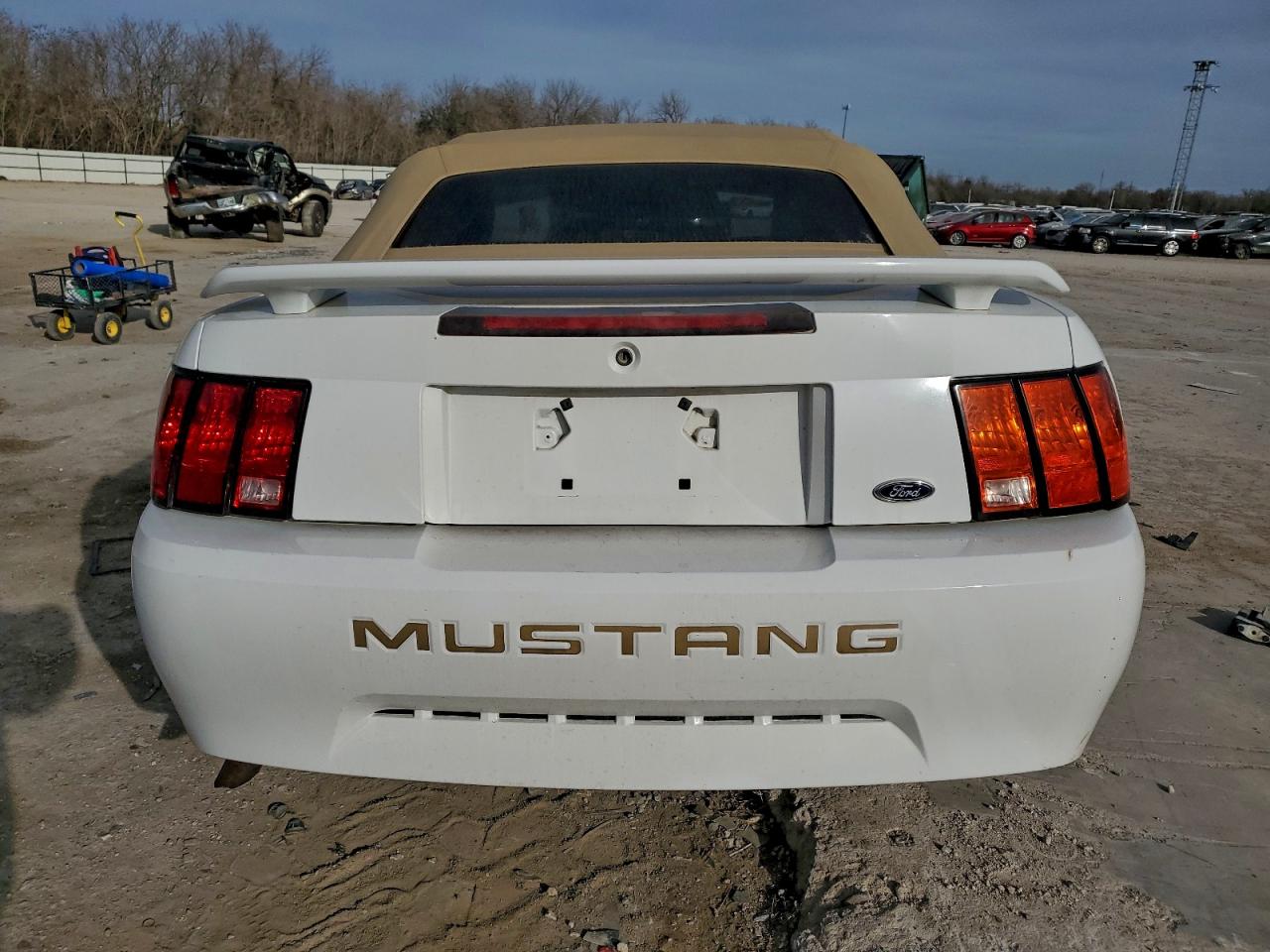 2003 FORD MUSTANG photo 6