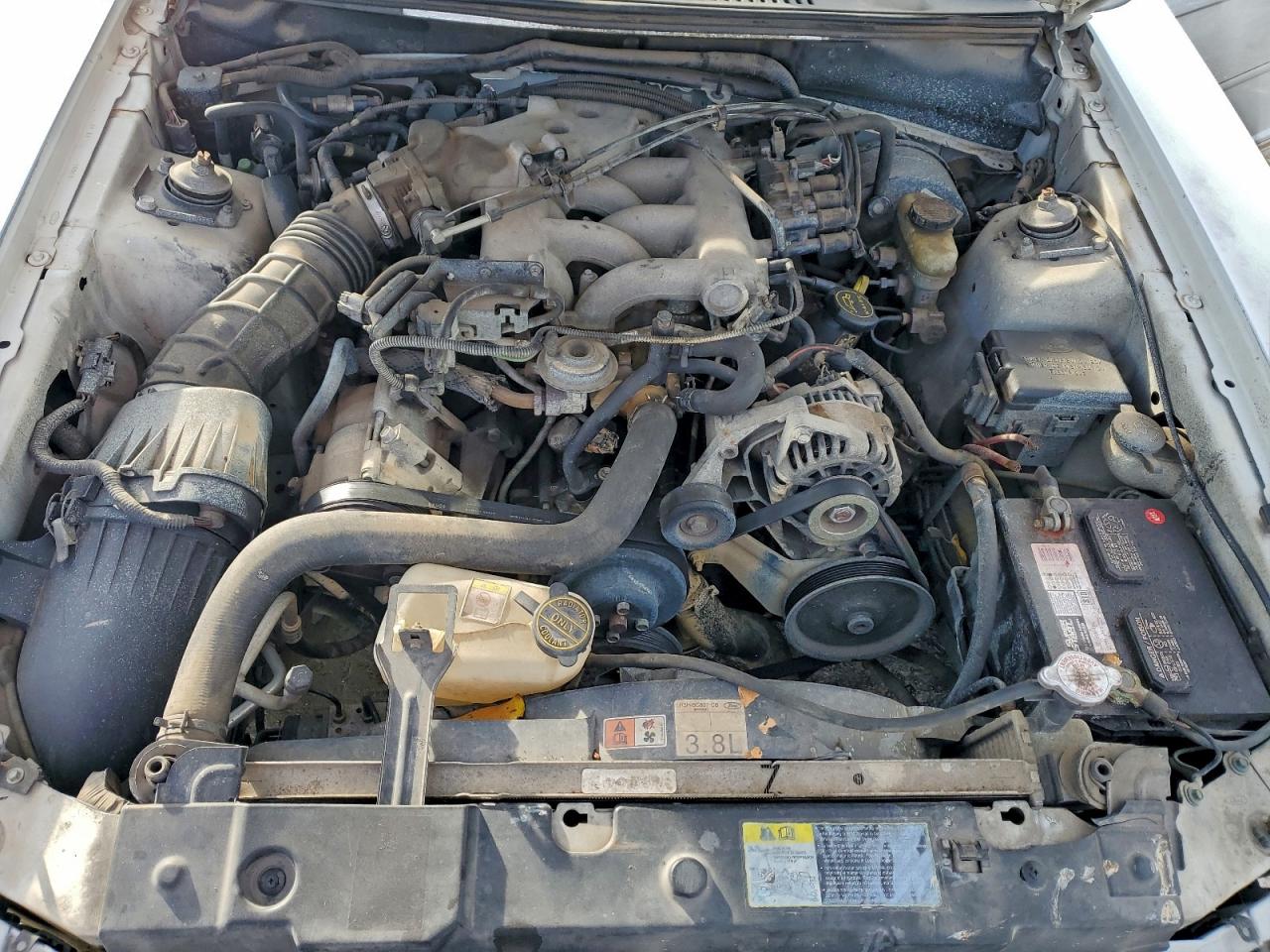 2003 FORD MUSTANG photo 11