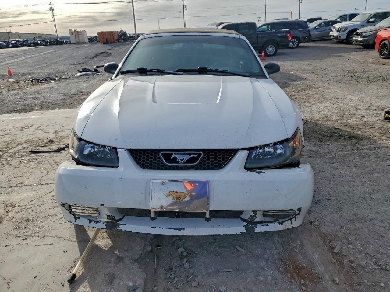 2003 FORD MUSTANG photo 5