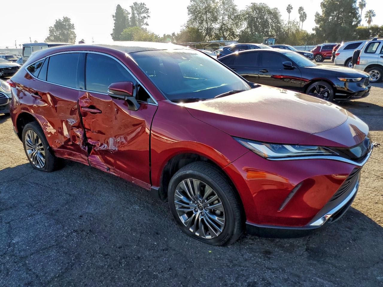 2023 TOYOTA VENZA LE photo 4