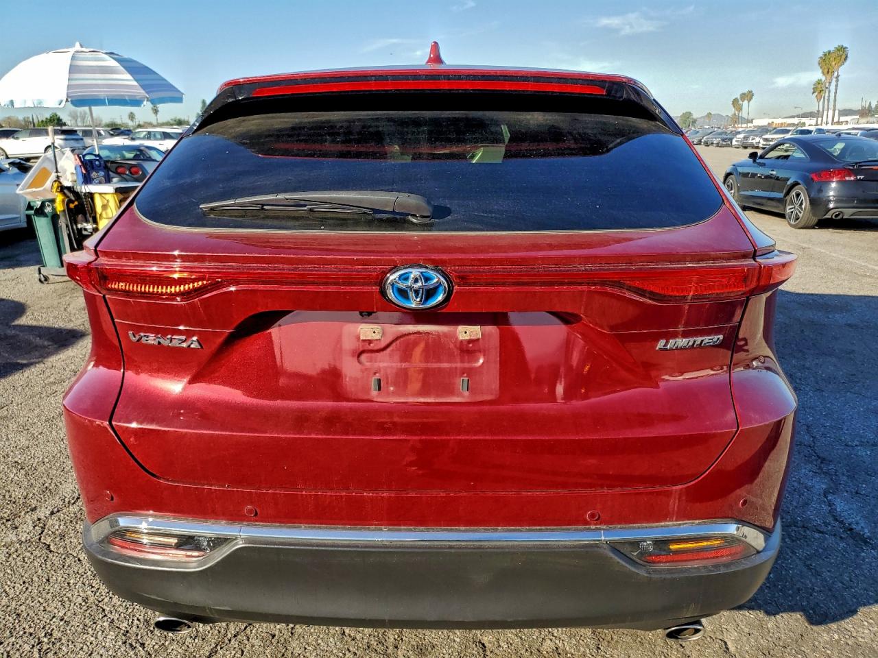 2023 TOYOTA VENZA LE photo 6