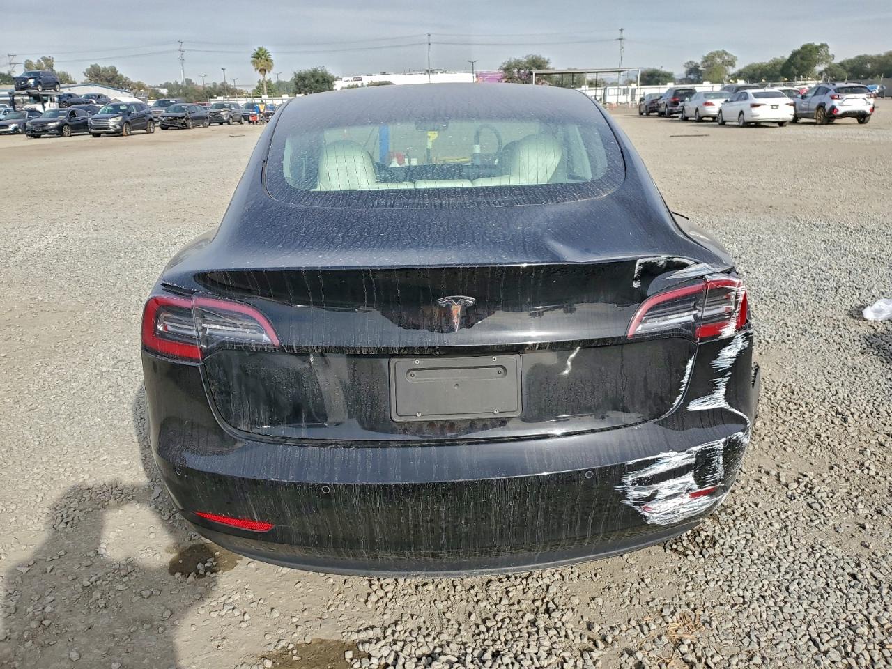 2019 TESLA MODEL 3 photo 6