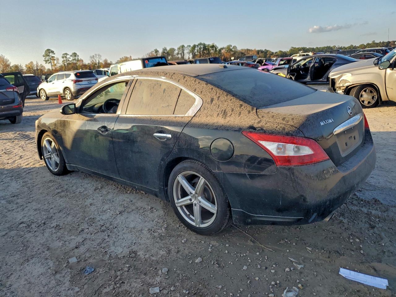 2009 NISSAN MAXIMA S photo 2
