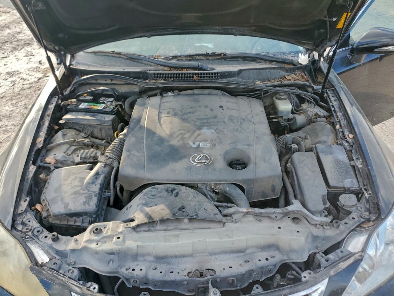 2009 LEXUS IS 250 photo 11