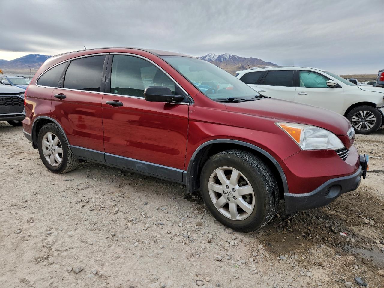 2007 HONDA CR-V EX photo 4