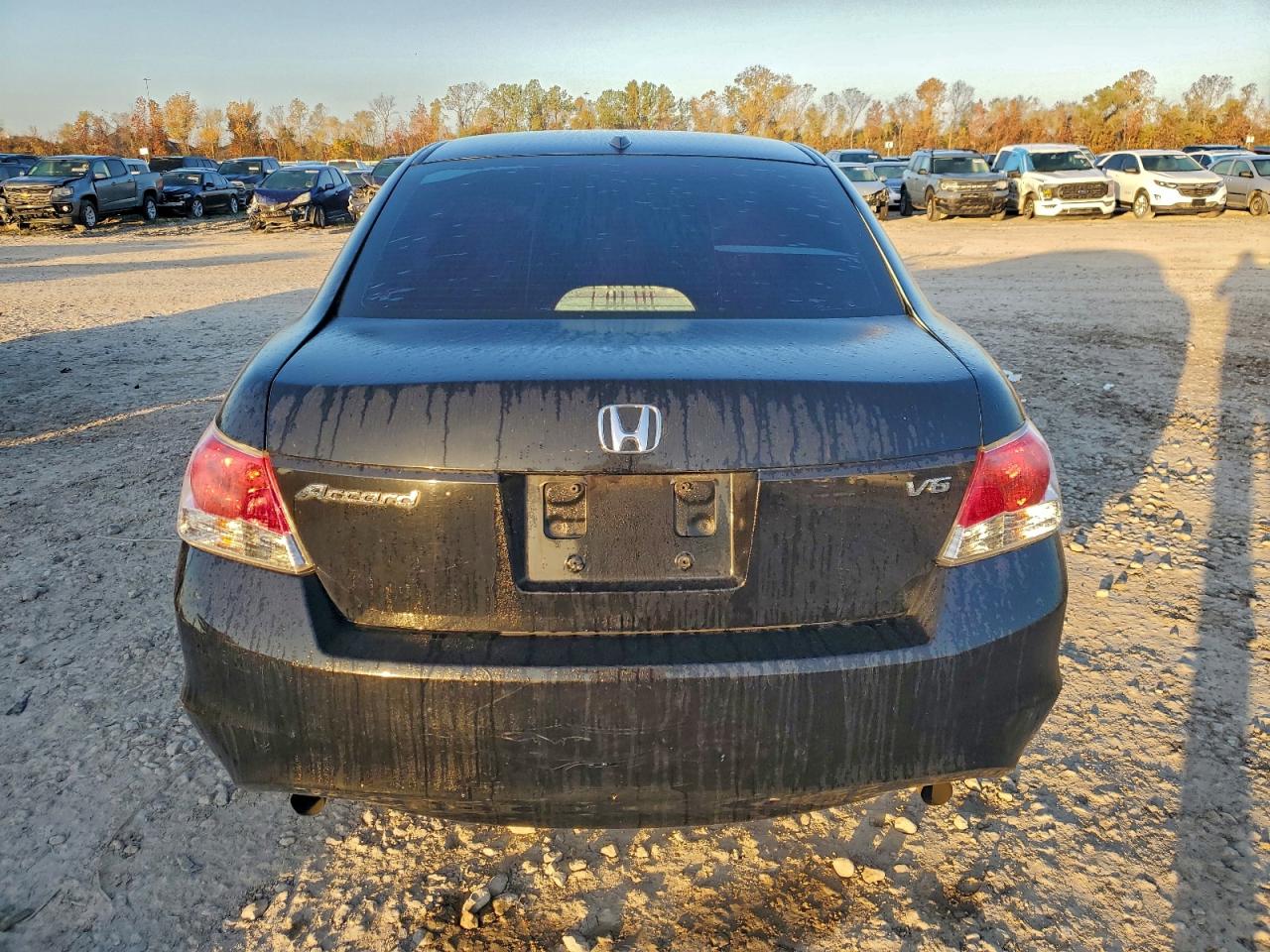 2009 HONDA ACCORD EXL photo 6