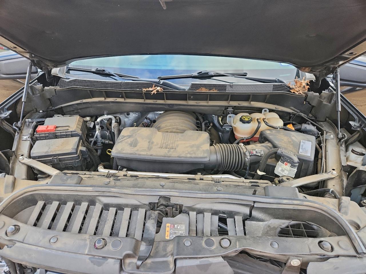 2021 CHEVROLET SILVERADO K1500 LT TRAIL BOSS photo 11