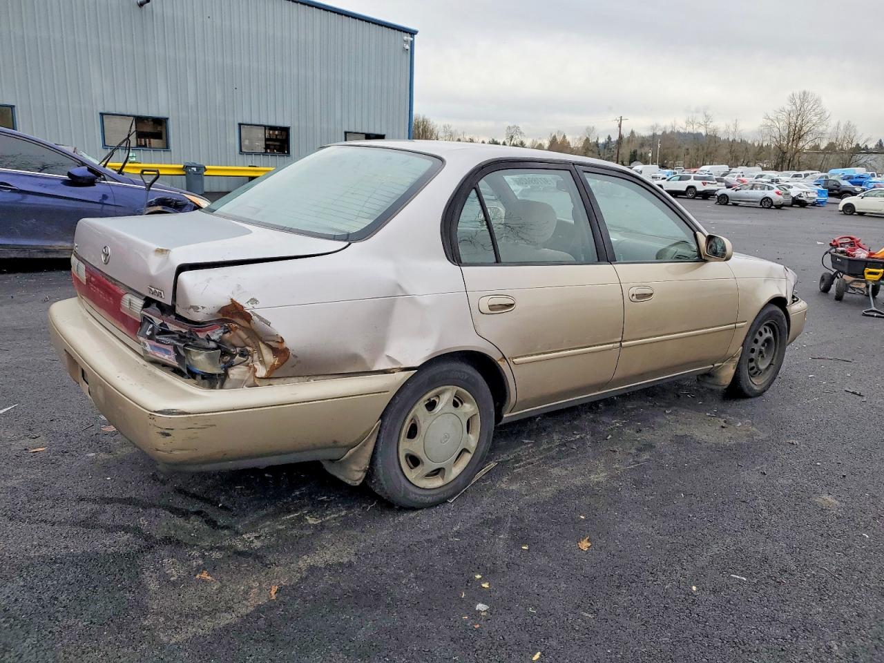 1996 TOYOTA COROLLA DX photo 5