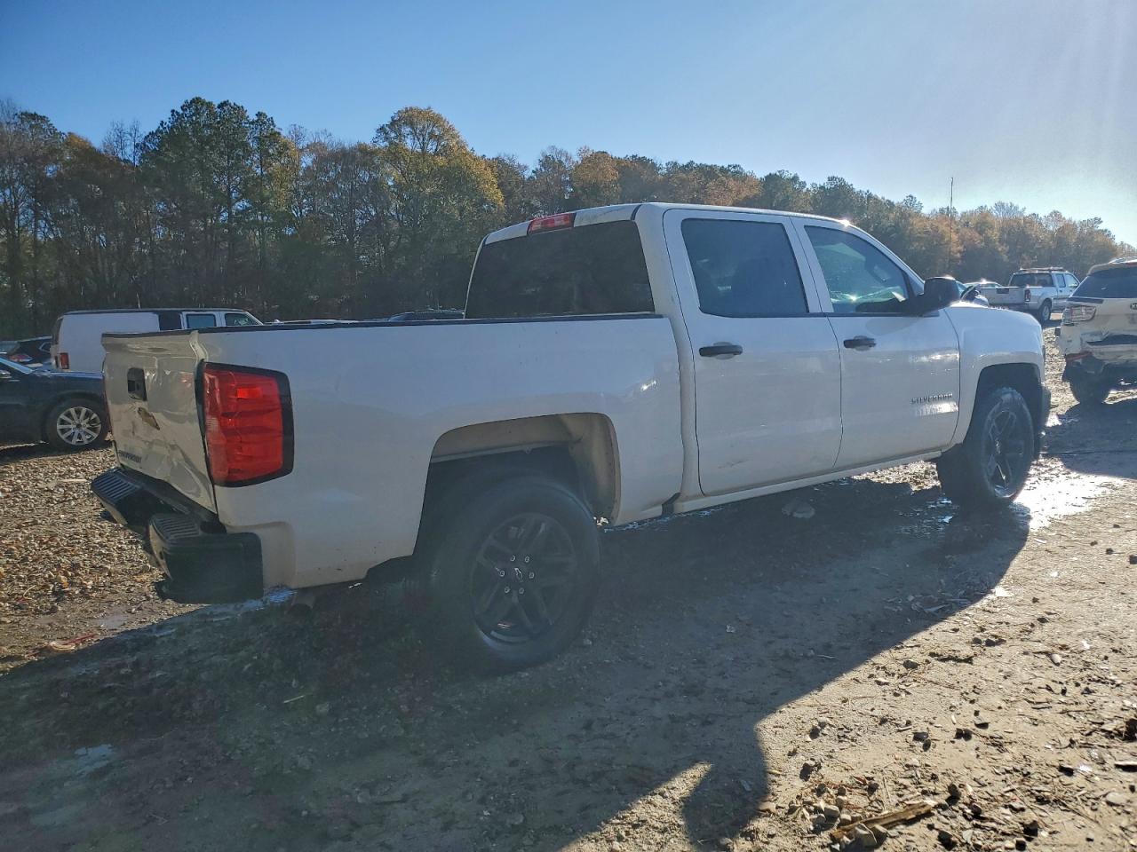 2018 CHEVROLET SILVERADO C1500 photo 3