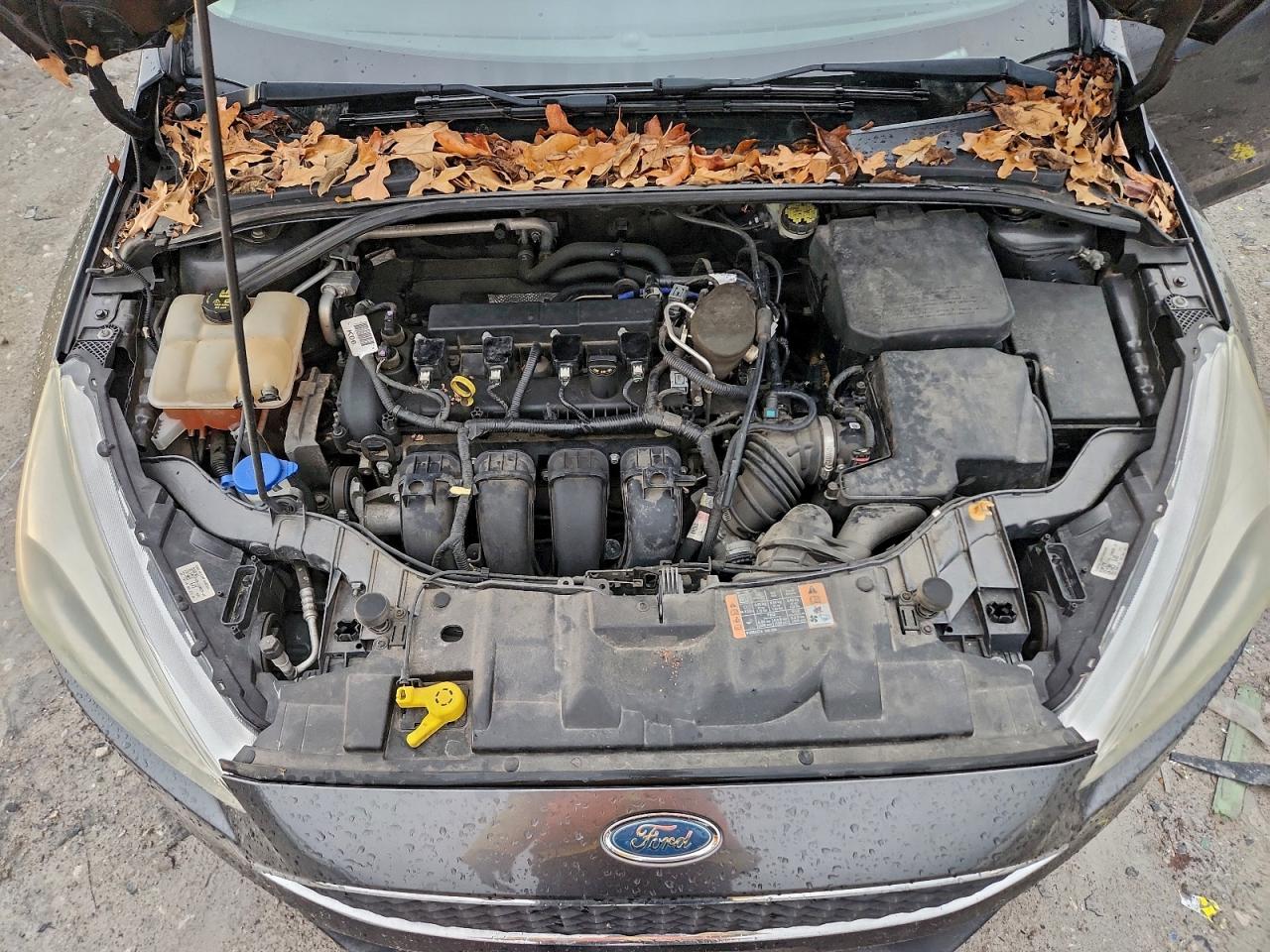 2015 FORD FOCUS SE photo 11