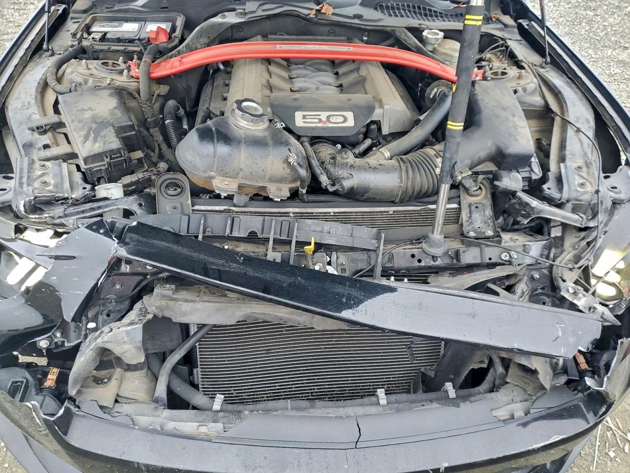 2015 FORD MUSTANG GT photo 11