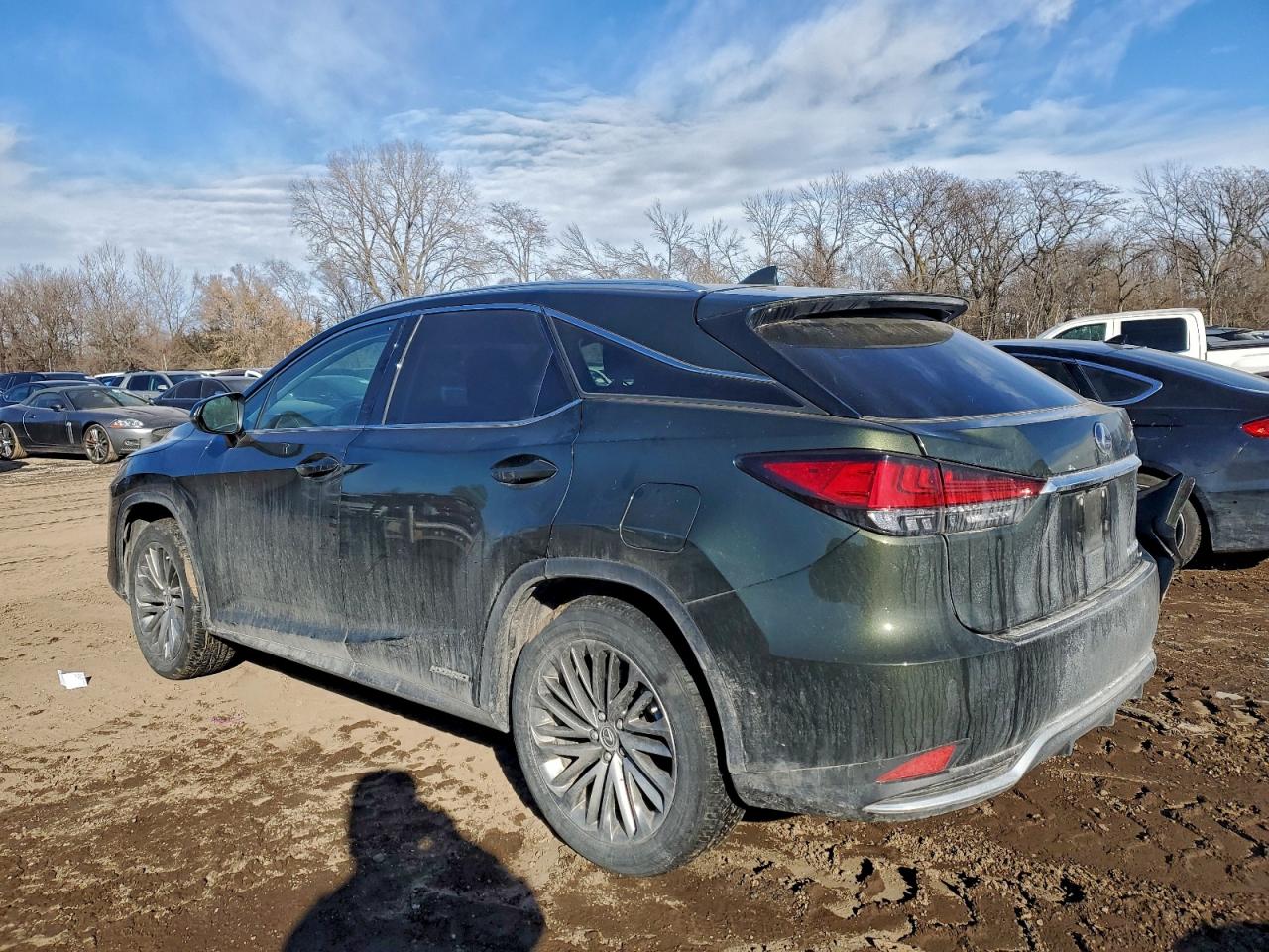 2022 LEXUS RX 450H photo 4