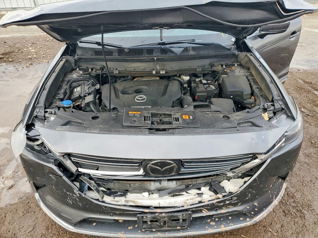 2018 MAZDA CX-9 SIGNATURE photo 21