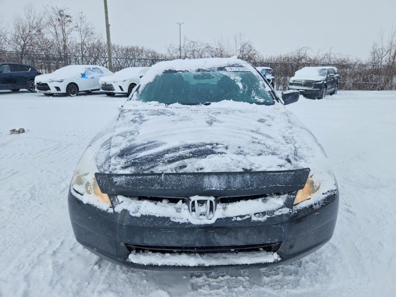 2004 HONDA ACCORD EX photo 5