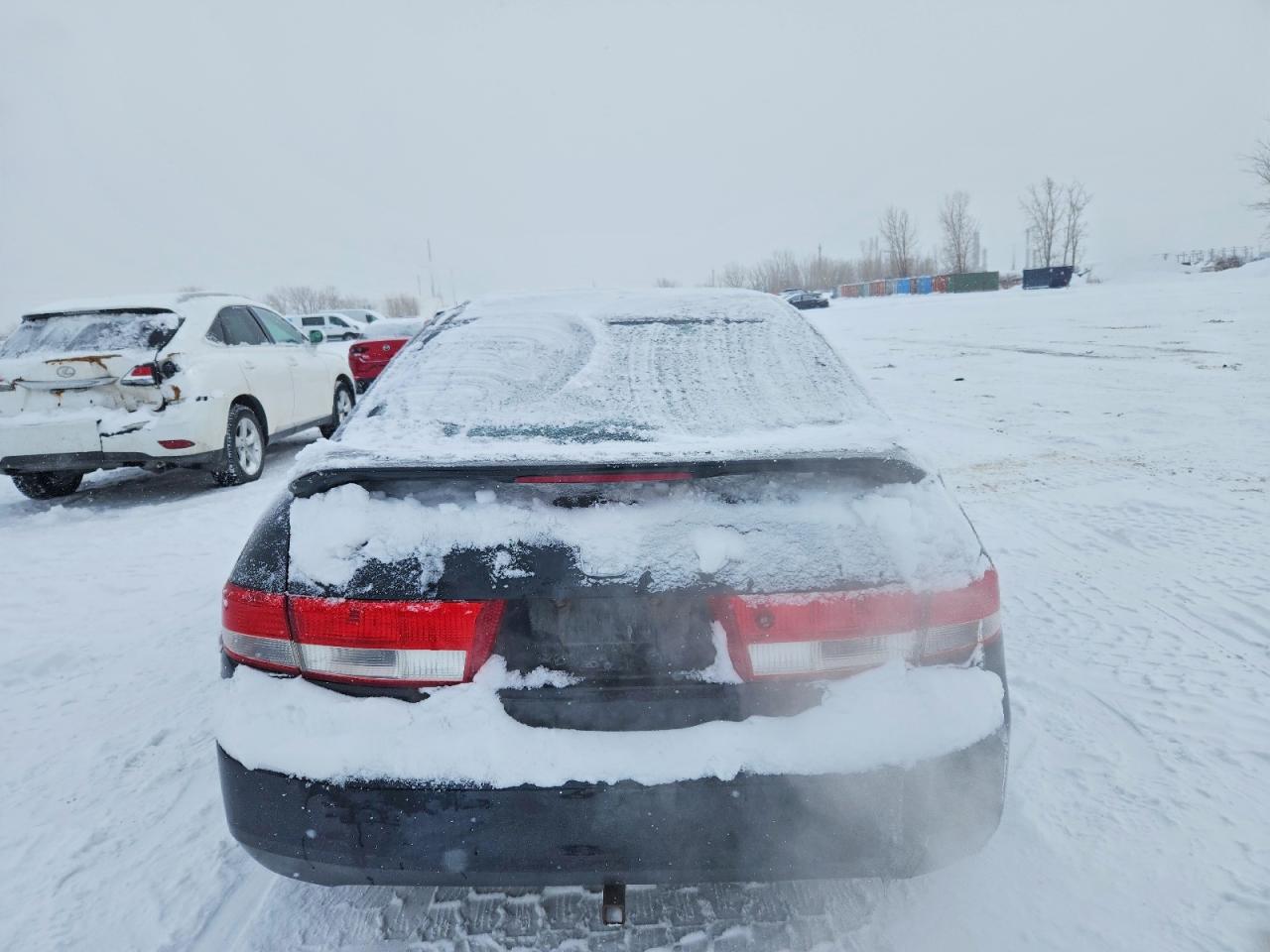 2004 HONDA ACCORD EX photo 6