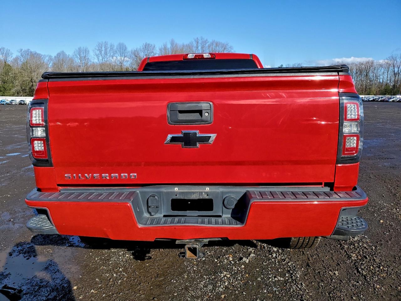 2017 CHEVROLET SILVERADO C1500 CUSTOM photo 11