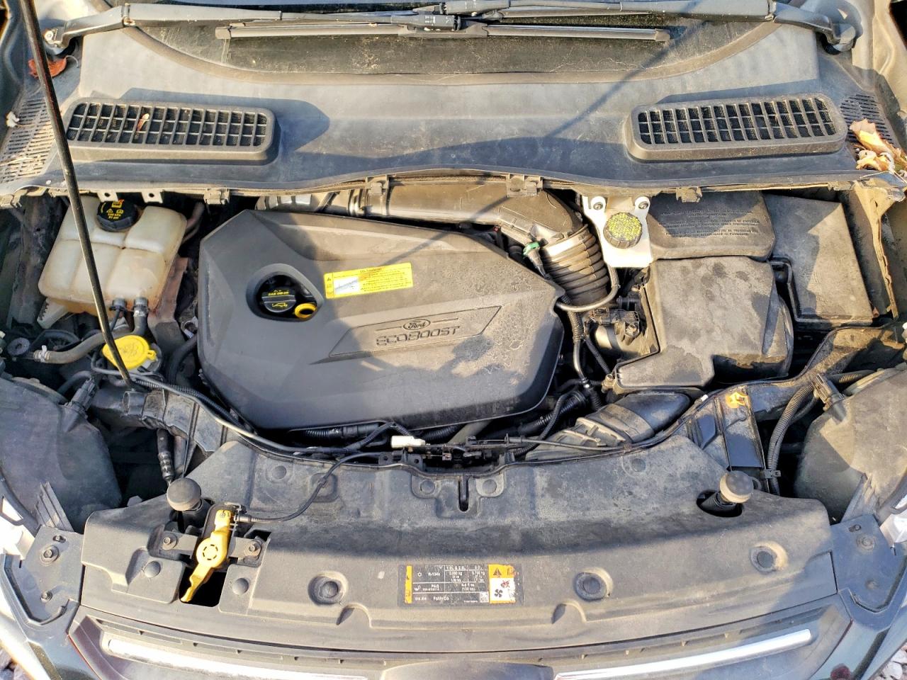 2013 FORD ESCAPE SE photo 21