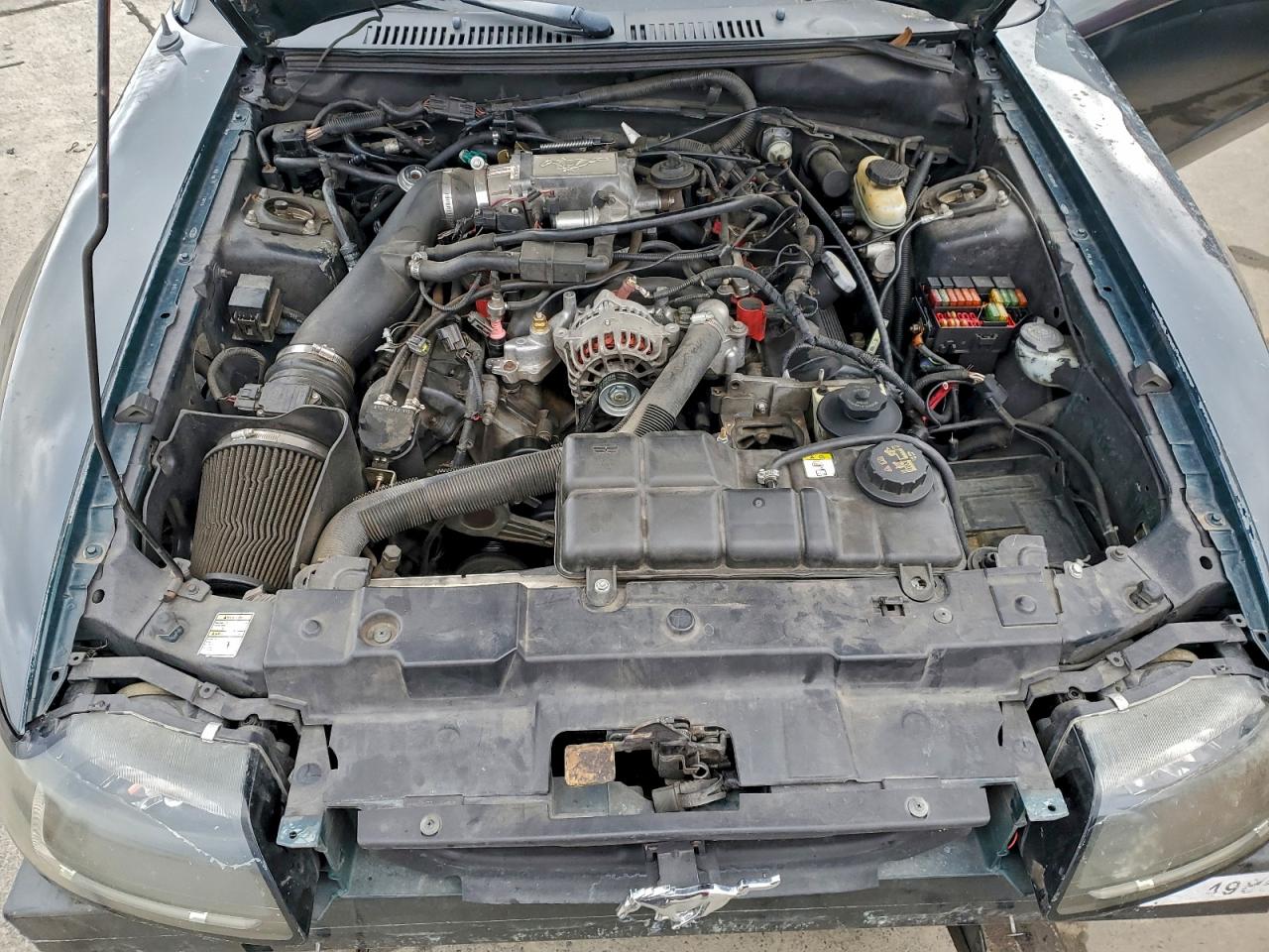1999 FORD MUSTANG GT photo 11