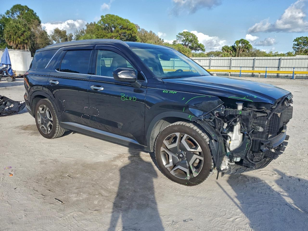 2024 HYUNDAI PALISADE LIMITED photo 7