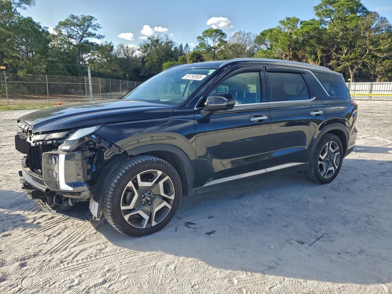 2024 HYUNDAI PALISADE