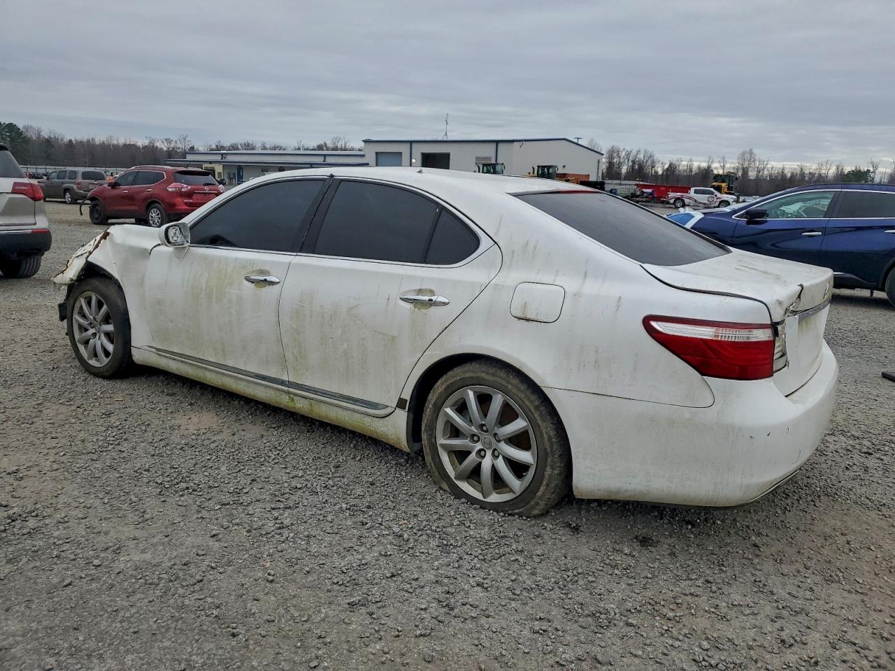2008 LEXUS LS 460 photo 3