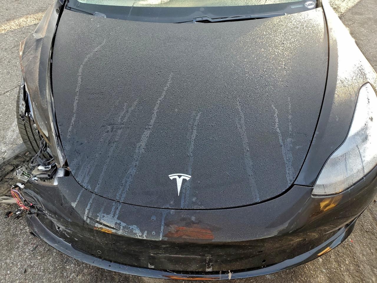 2019 TESLA MODEL 3 photo 21