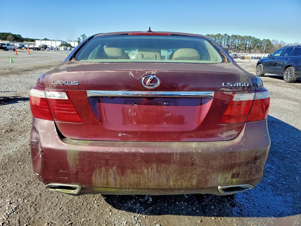2008 LEXUS LS 460 photo 6