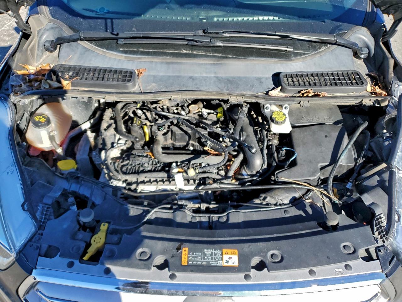 2019 FORD ESCAPE SE photo 23