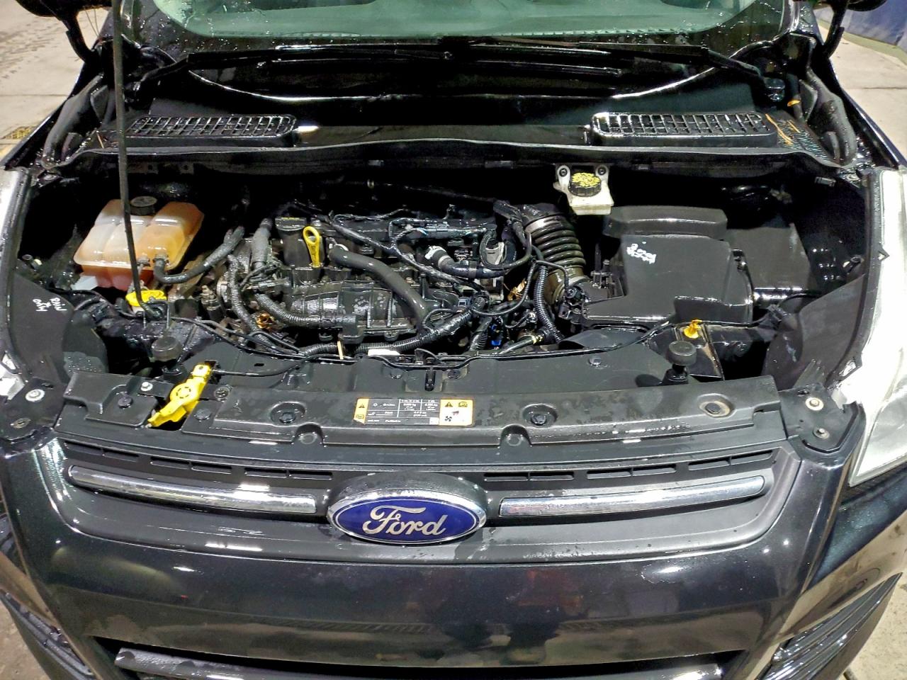 2014 FORD ESCAPE SE photo 12
