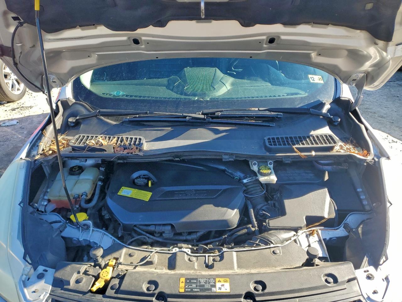 2014 FORD ESCAPE SE photo 12