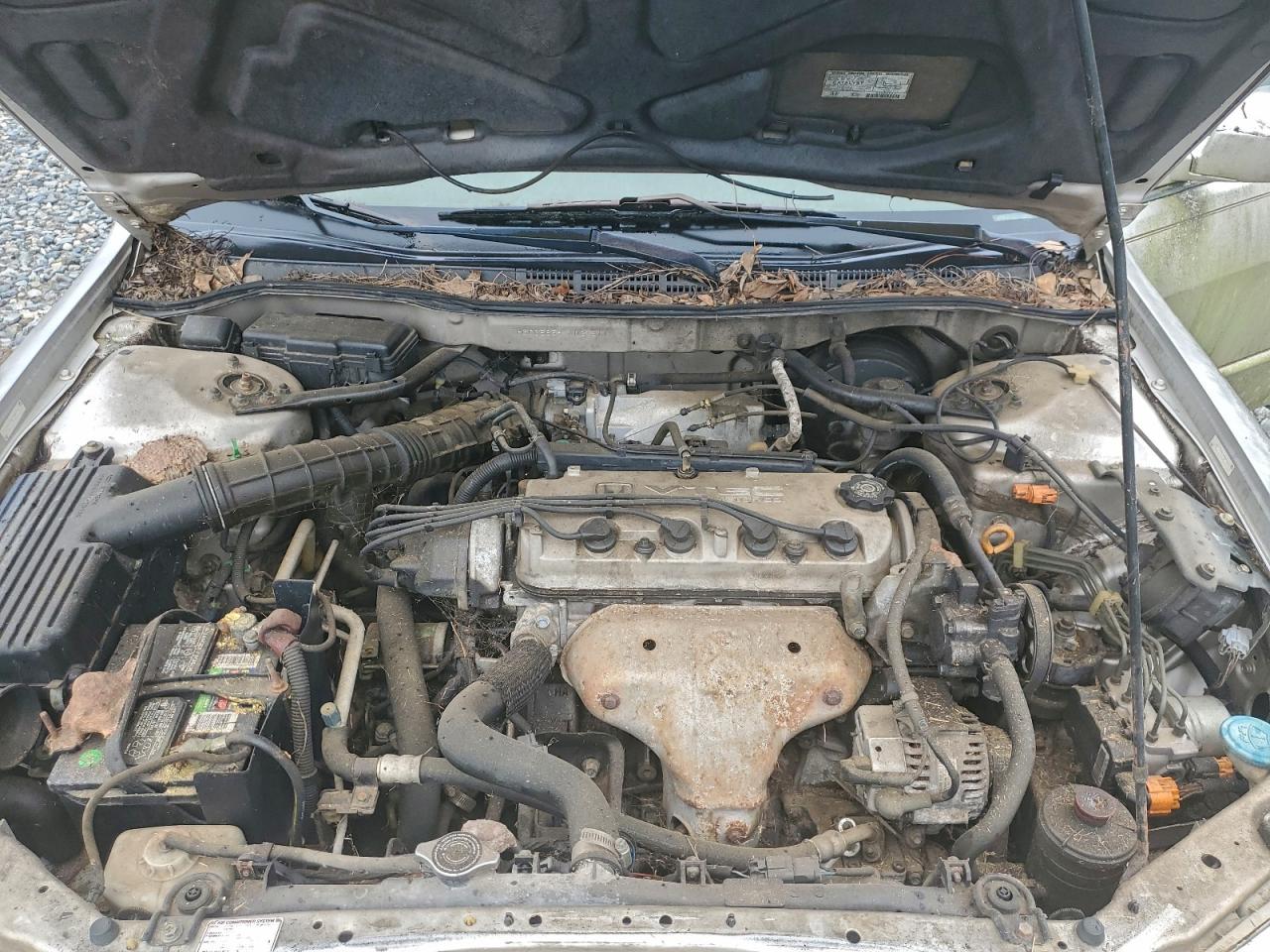1999 HONDA ACCORD EX photo 11