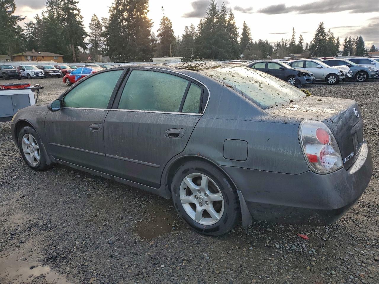 2006 NISSAN ALTIMA S photo 2