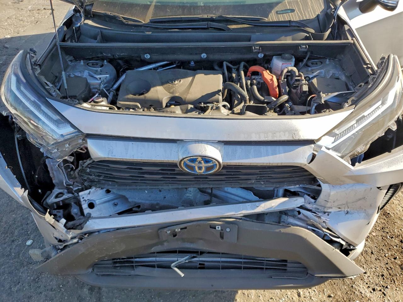2024 TOYOTA RAV4 XLE photo 12