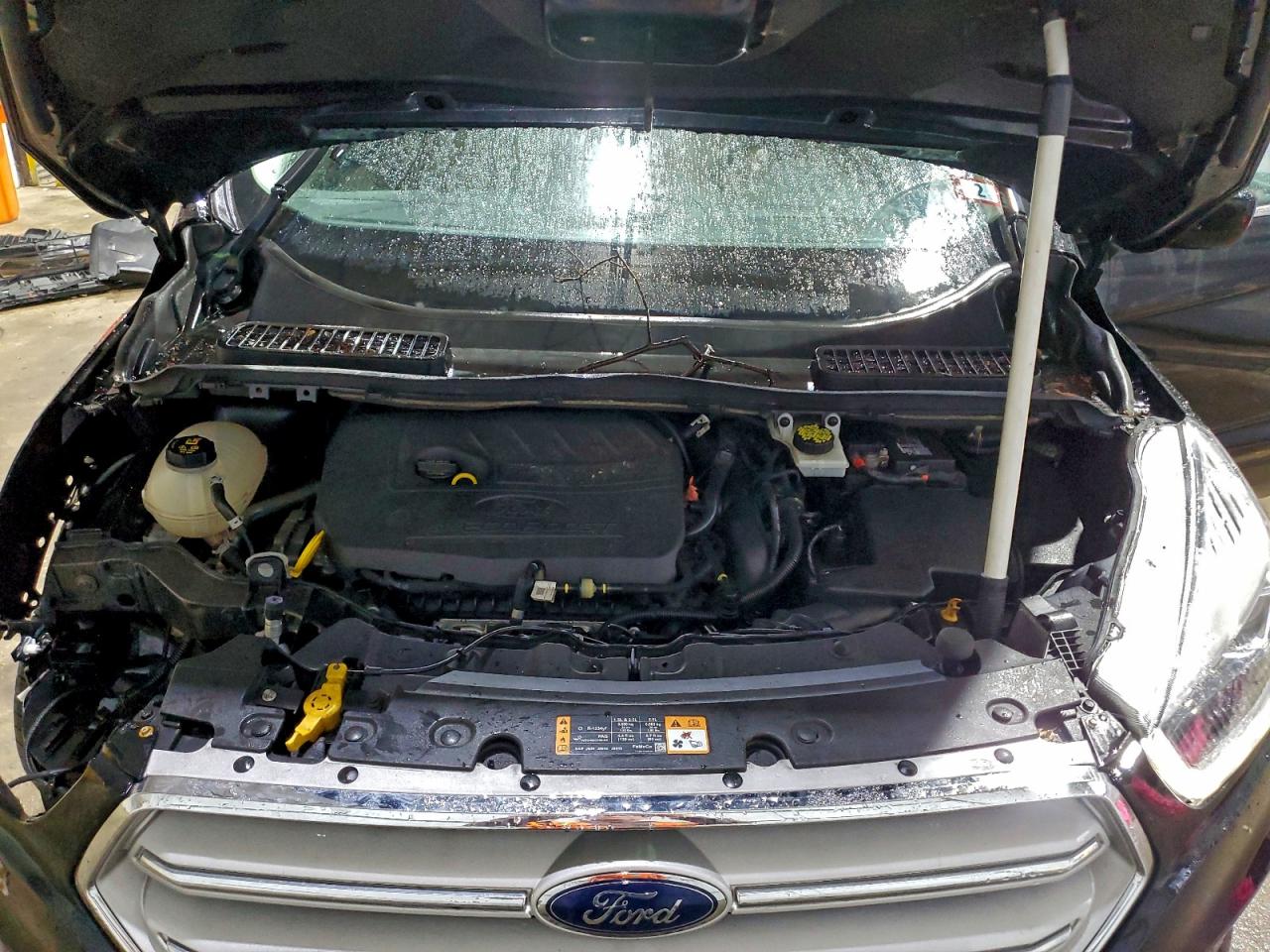 2017 FORD ESCAPE SE photo 12
