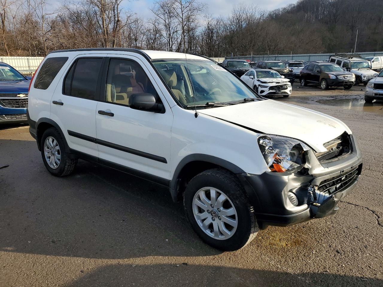2005 HONDA CR-V LX photo 4