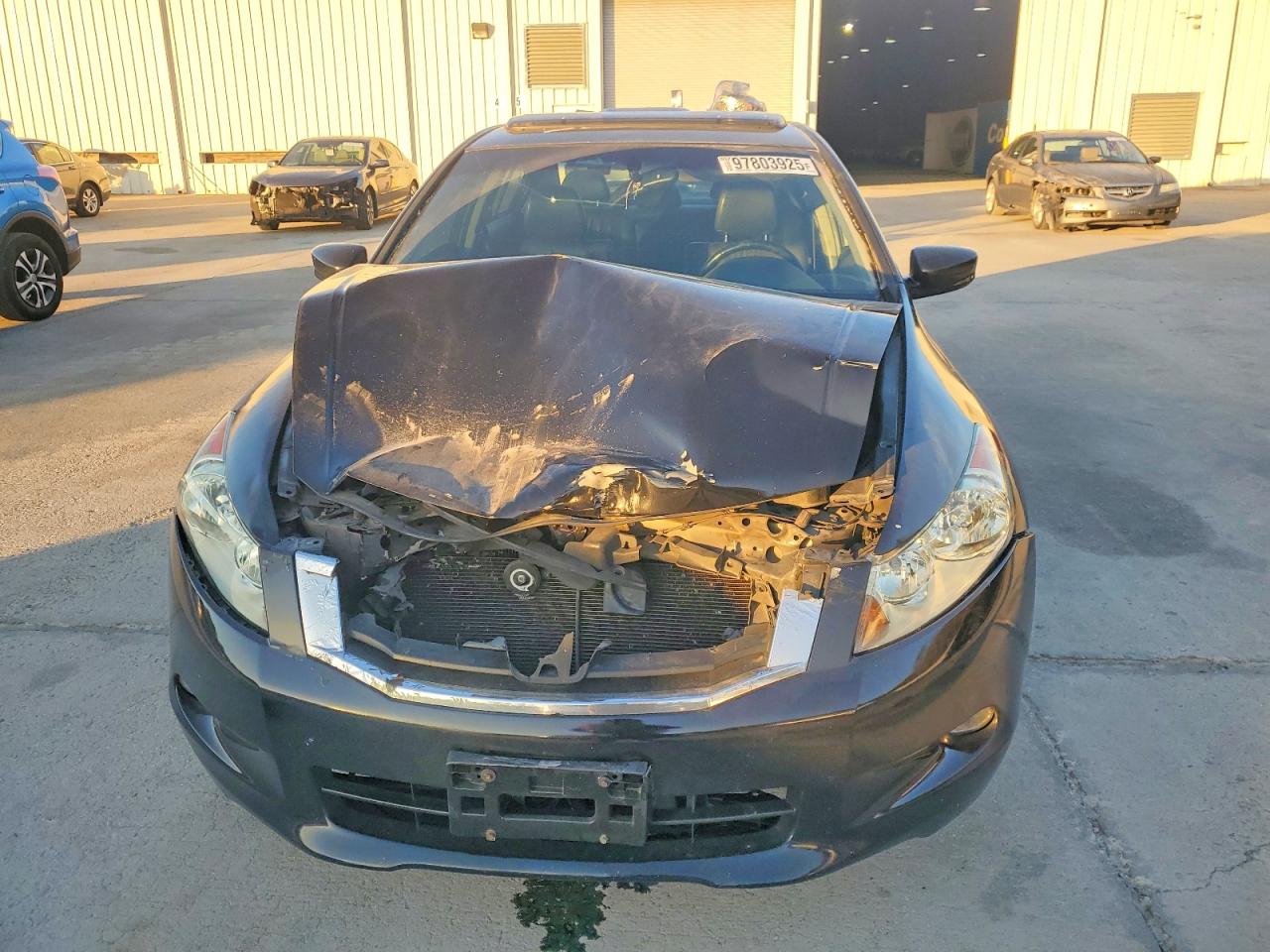 2009 HONDA ACCORD EXL photo 5