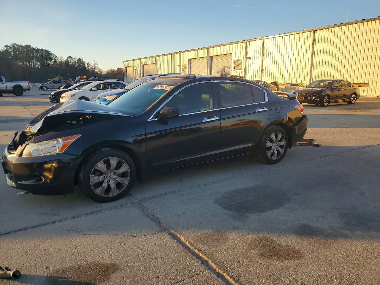 2009 HONDA ACCORD
