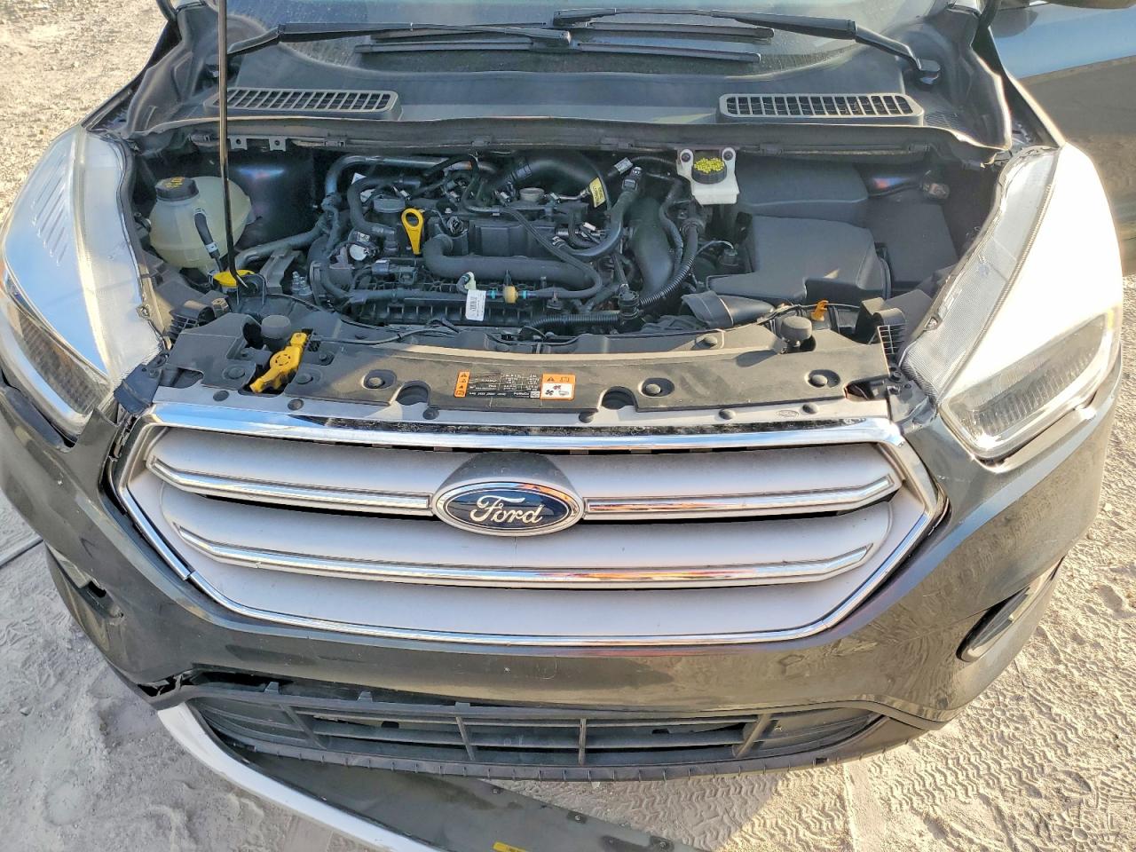 2019 FORD ESCAPE SE photo 12