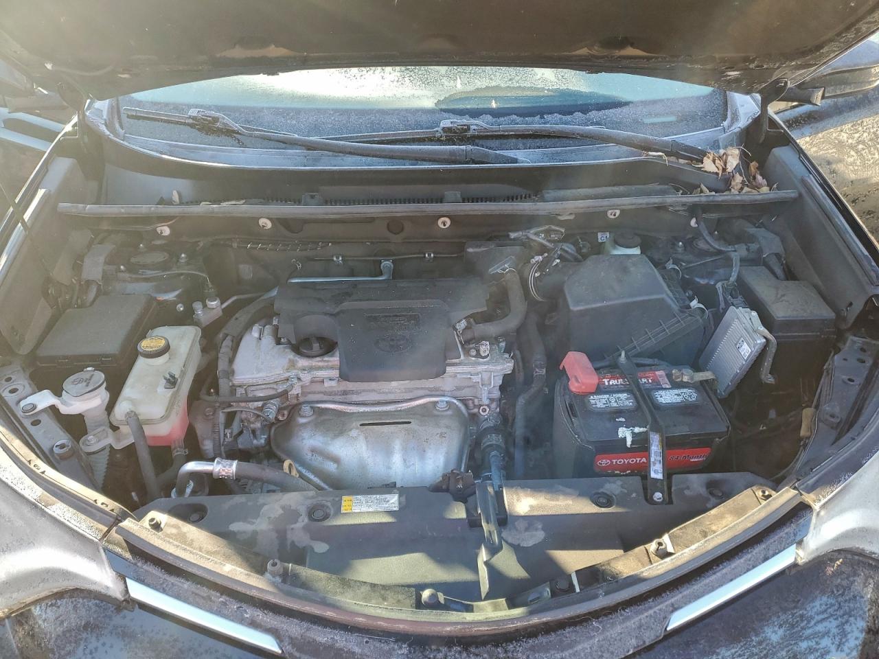 2018 TOYOTA RAV4 LE photo 12