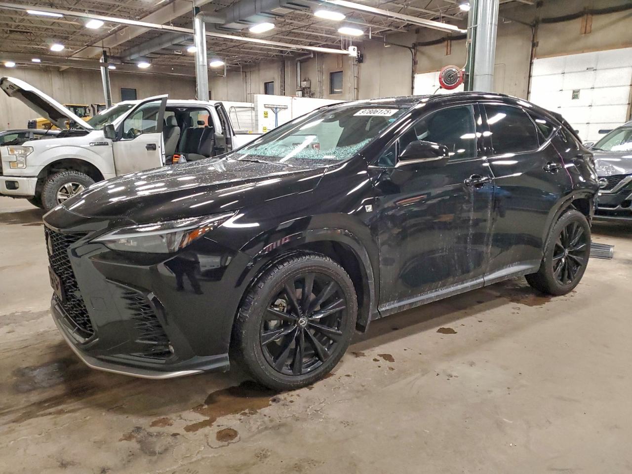 2024 LEXUS NX