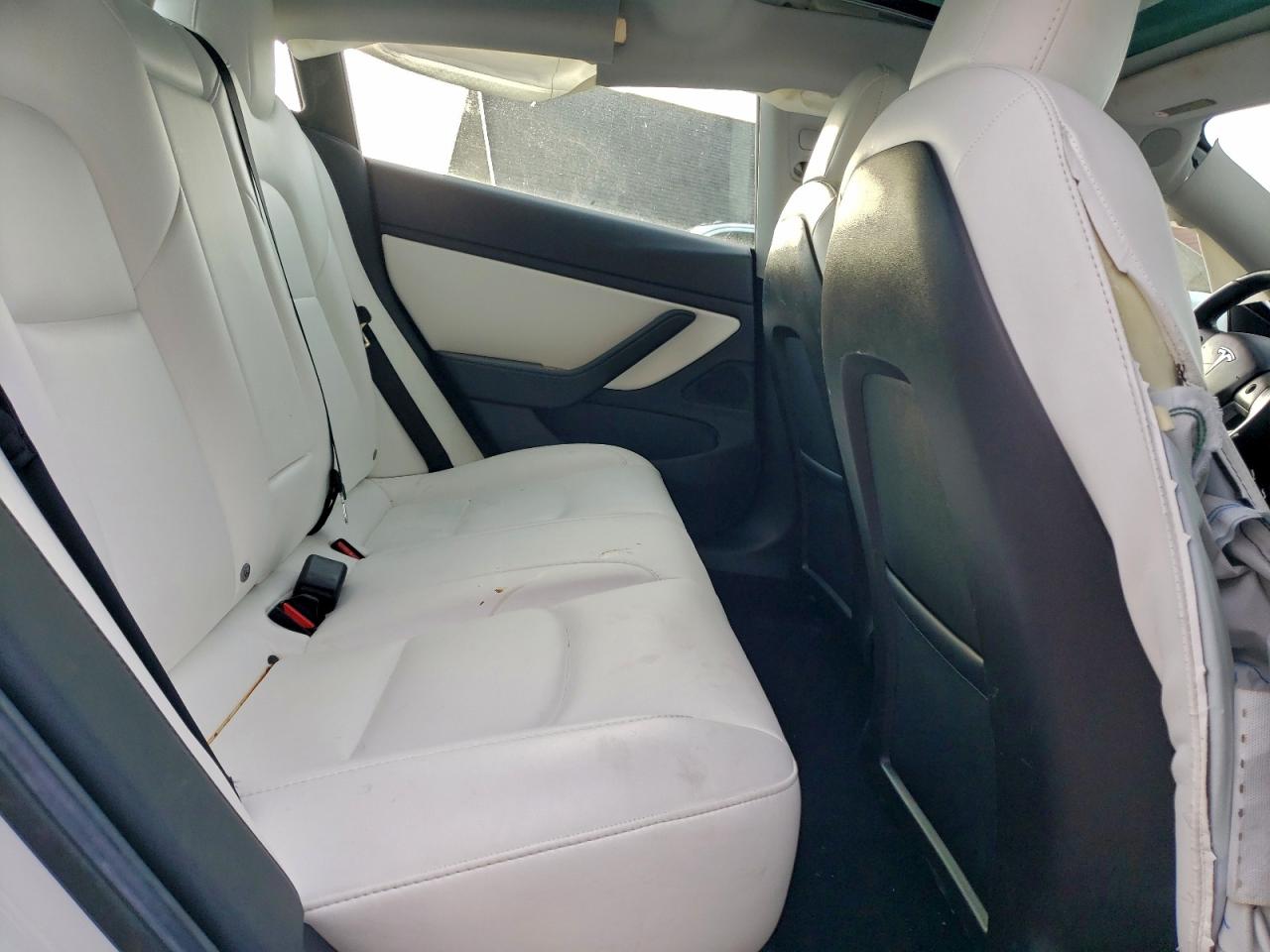 2019 TESLA MODEL 3 photo 11