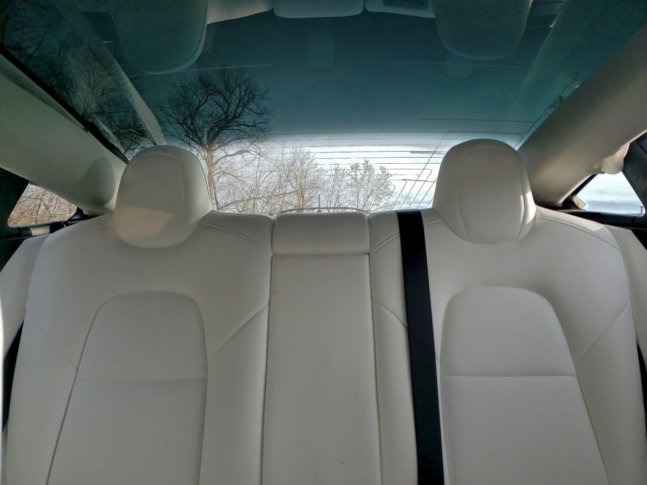 2019 TESLA MODEL 3 photo 10