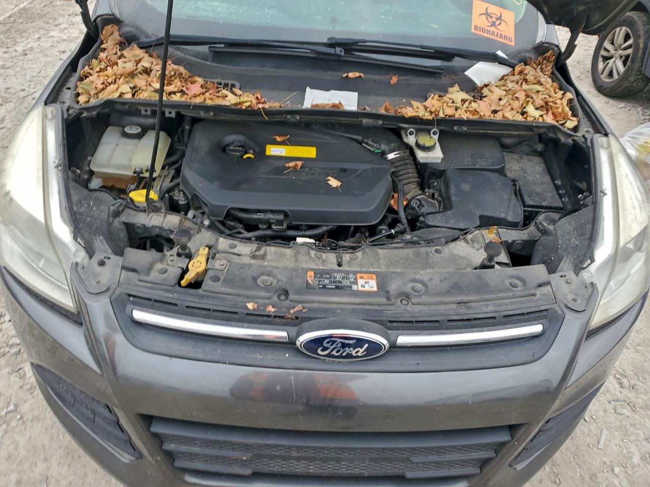 2016 FORD ESCAPE SE photo 23
